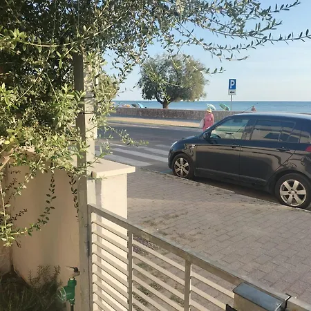 Ariadimare 托雷奥沃