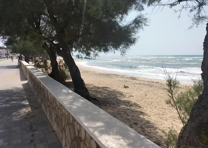 Ariadimare 招待所 托雷奥沃